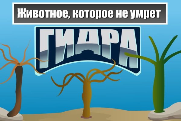 Кракен купить порошок