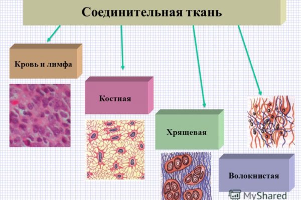 Кракен адрес тор