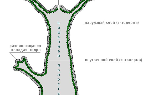 Ссылка на кракен krawebes