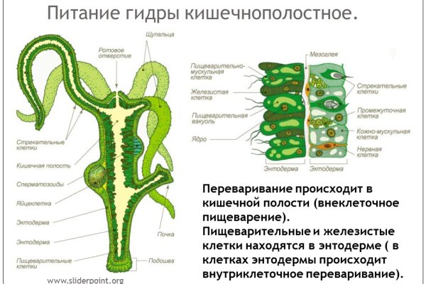 Ссылки на кракен зеркала