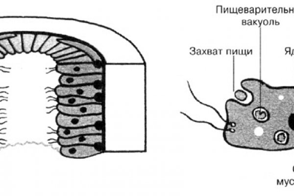 Кракен как войти