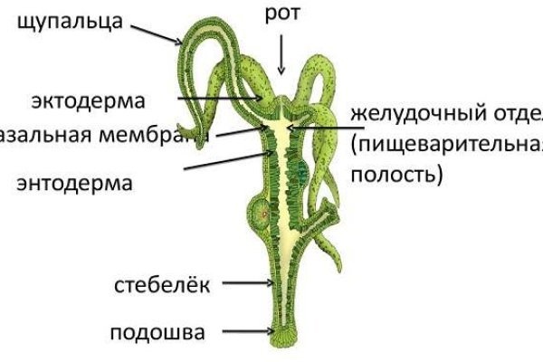 Kraken сайт вход