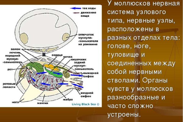 Кракен официальная ссылка kraken torion